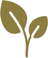 PLANT BASED